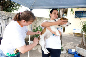 Antirrábica: Santa Bárbara segue com ponto fixo de imunização de cães e gatos