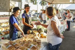 Cultivo de amendoim ganha eficiência com precisão no monitoramento