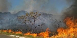 Incêndios assustam todo interior