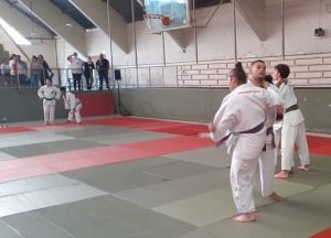 Americanenses. 16 medalhas na Copa Tietê de Karatê