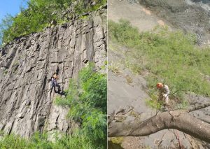 Cachorro cai em precipício em SB. Veja o resgate