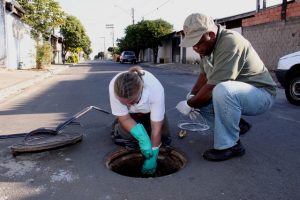 Ação contra baratas e insetos na rede de esgoto de Nova Odessa começa nesta 2ª