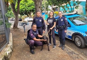 Cachorro "largado" em imóvel vazio é resgatado pela Gama