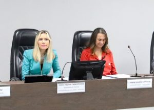 Delegada quer mais apoio a mulheres vítimas de violência