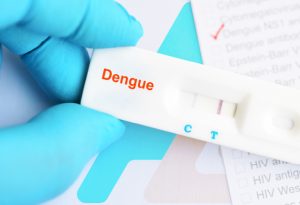 Dengue-blog-800x430px