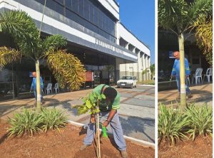 Leitinho aposta em pacotaço de obras pra consolidar imagem