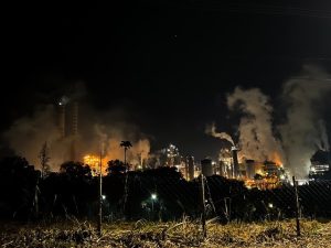 Queimadas atingiram 11 milhões de brasileiros, mostra CNM