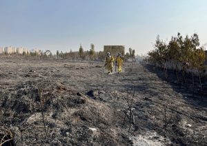 Fogaréu em Nova Odessa atinge 80mil m2