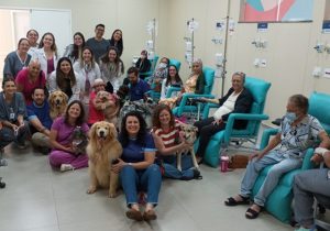 Cães-terapeutas visitam pacientes da Unacon