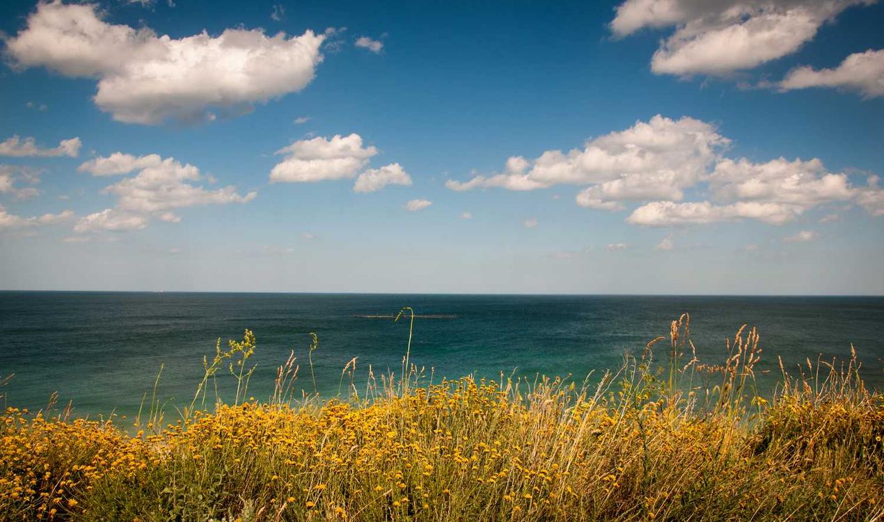 Idel - zdjęcie autora