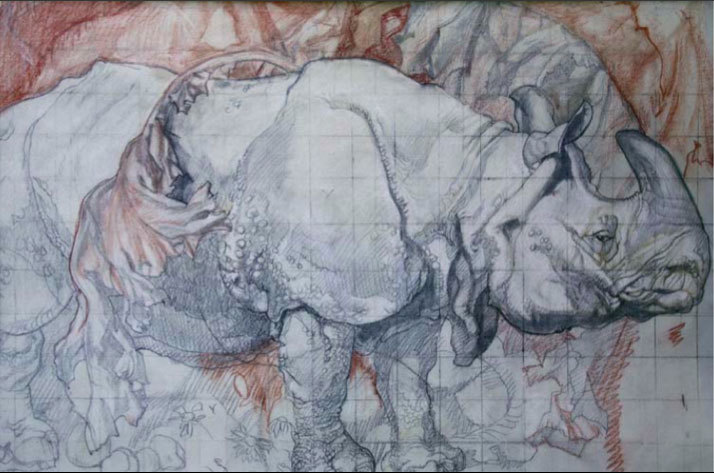 Sir Frank Brangwyn, Study of Rhino, around 1927, Glynn Vivian Art Gallery, Swansea