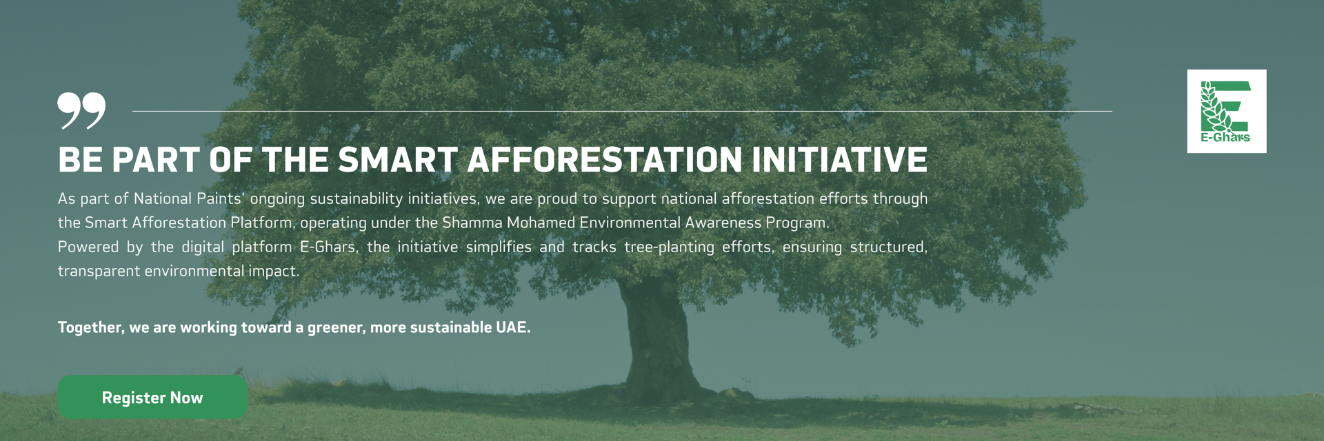 National-Paints-Home-Top-1-1