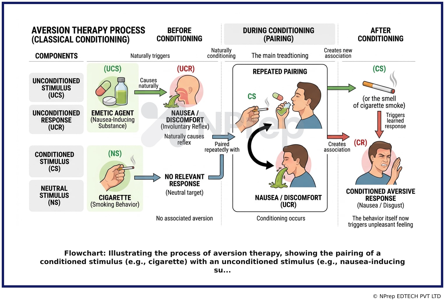 Visual explanation — Related Visual