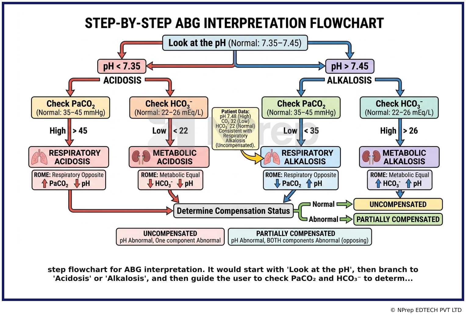 Visual explanation — Related Visual