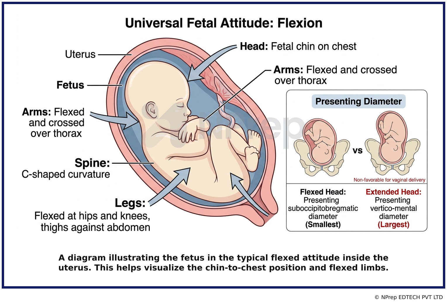 Visual explanation — Related Visual