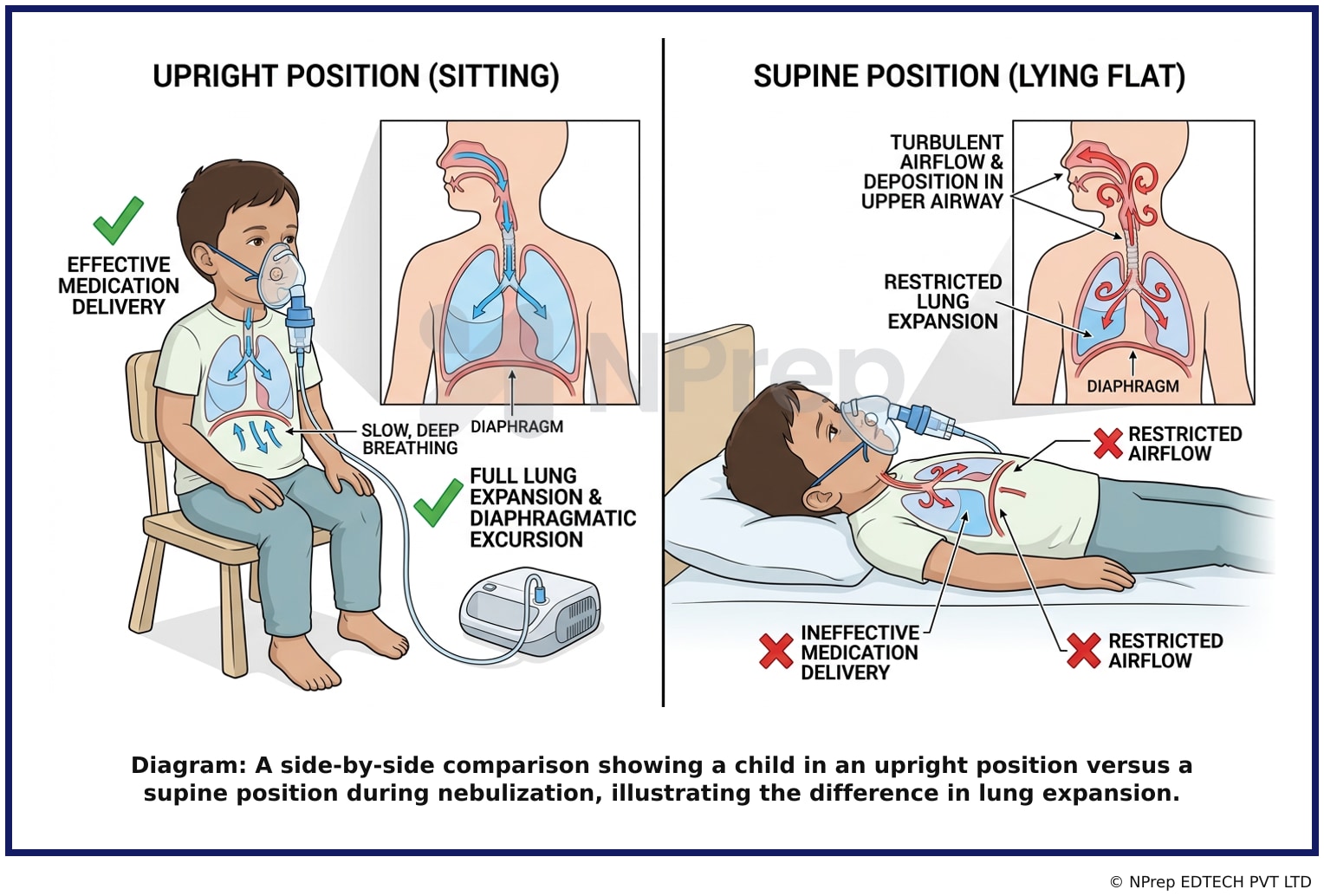 Visual explanation — Related Visual