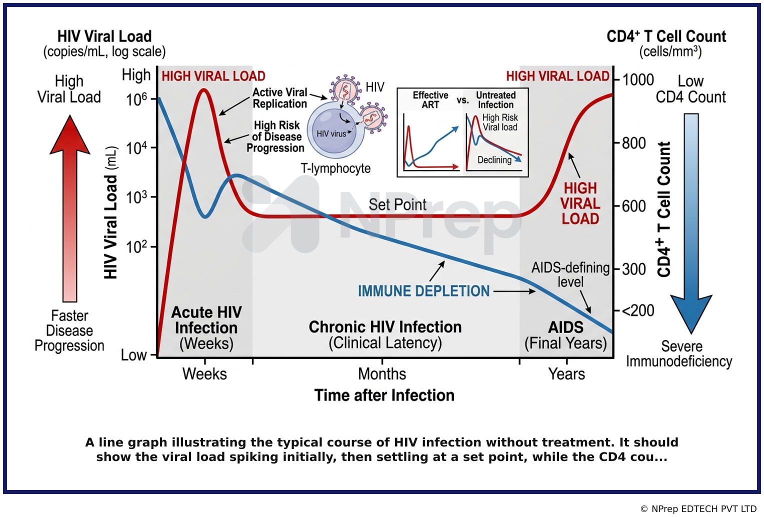 Visual explanation — Related Visual
