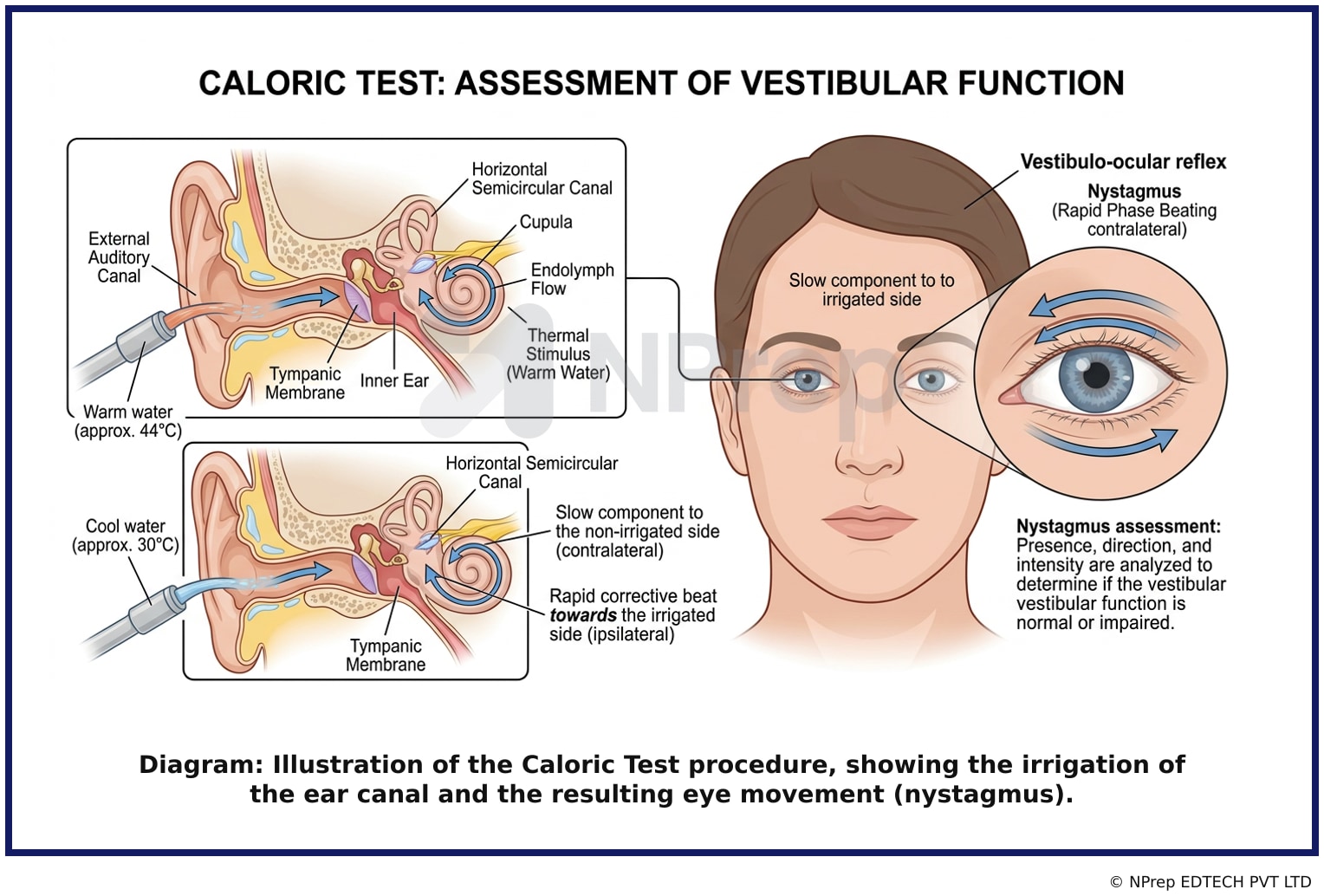 Visual explanation — Related Visual