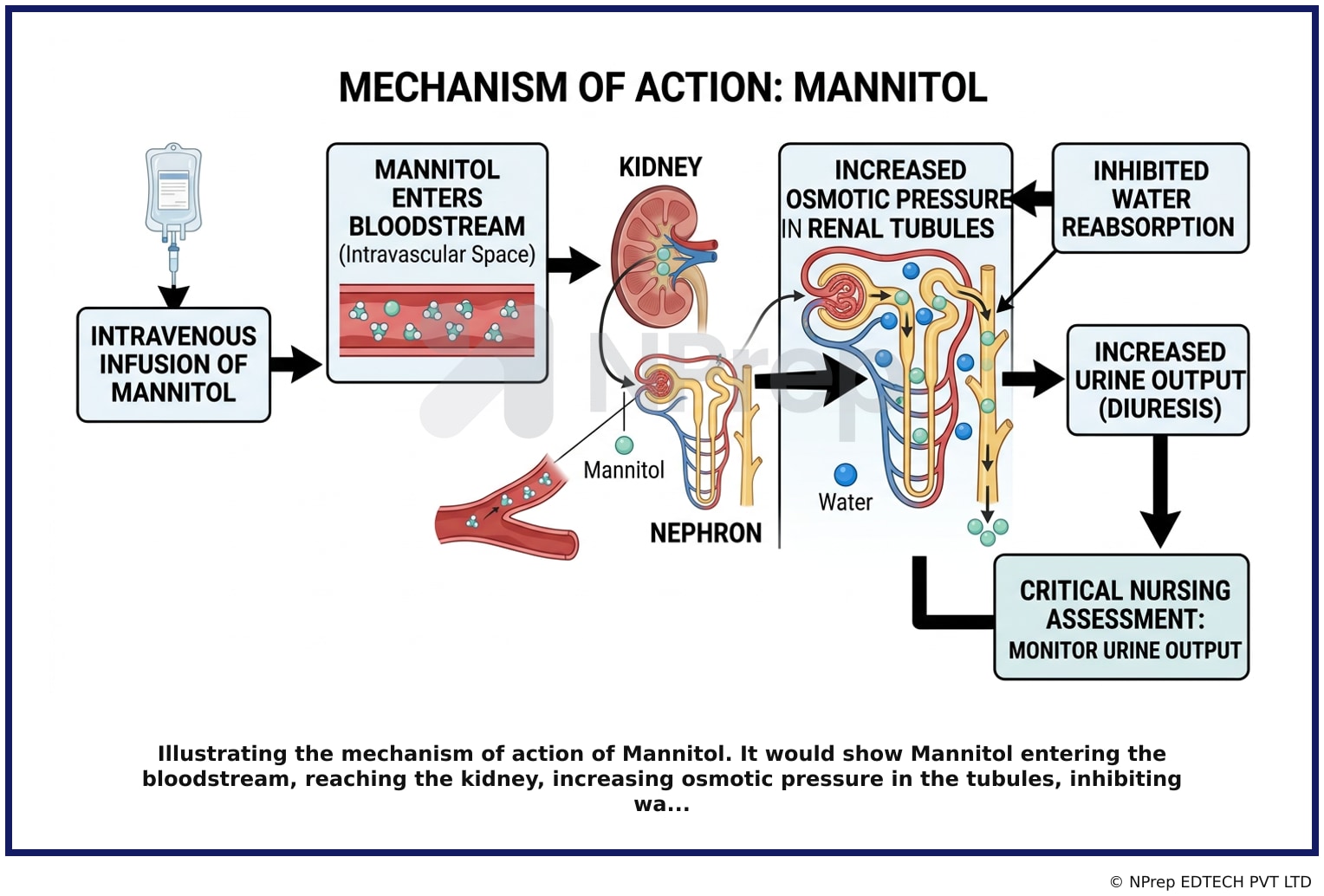 Visual explanation — Related Visual