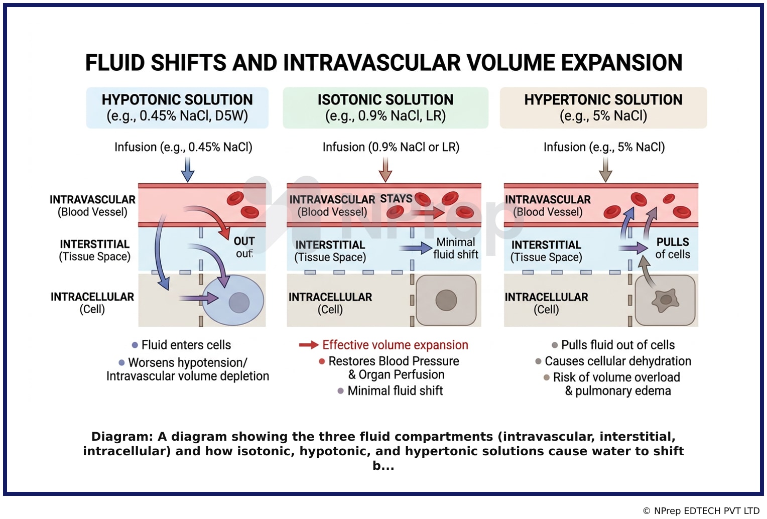 Visual explanation — Related Visual