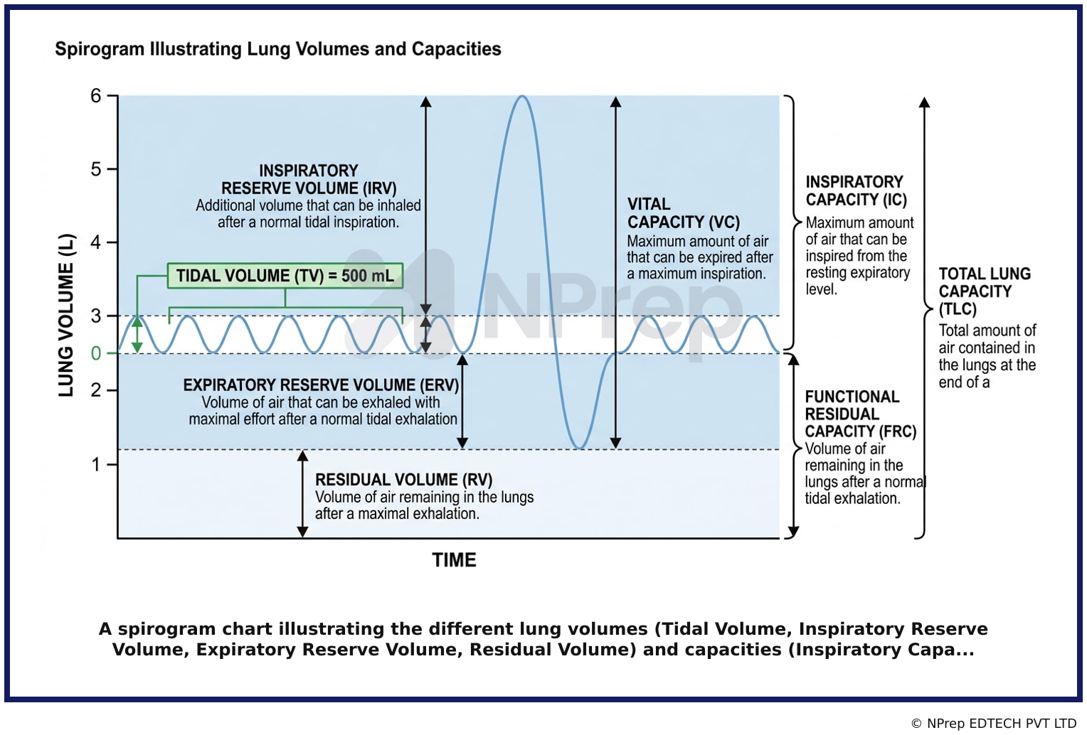 Visual explanation — Related Visual