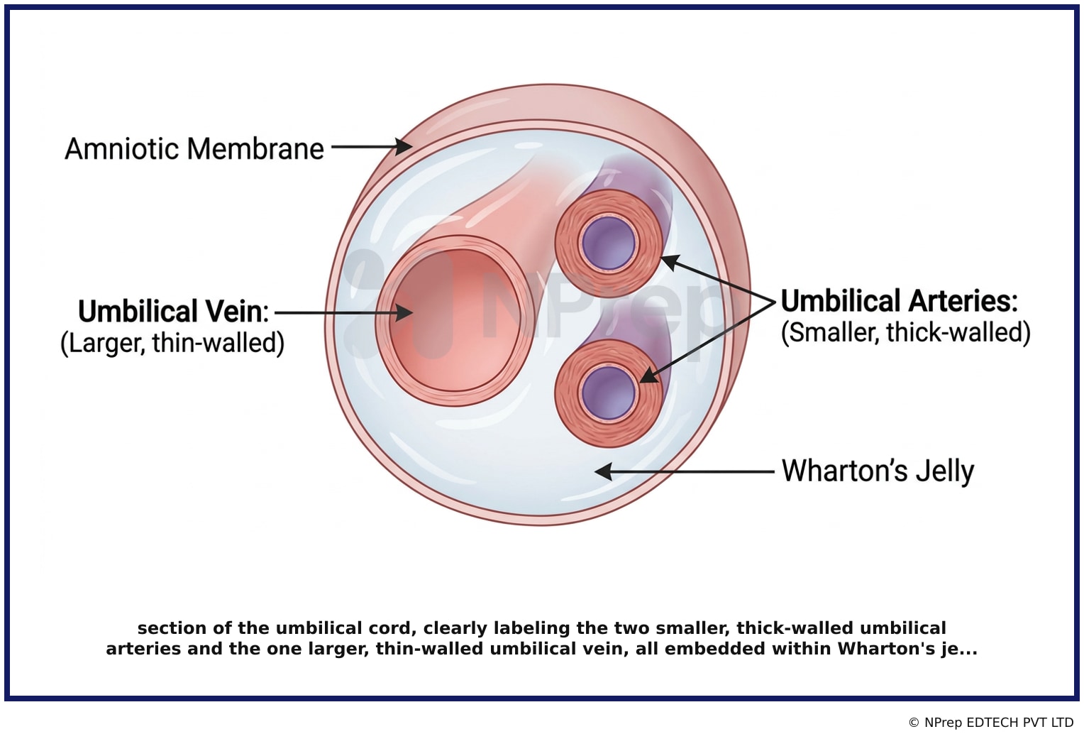 Visual explanation — Related Visual