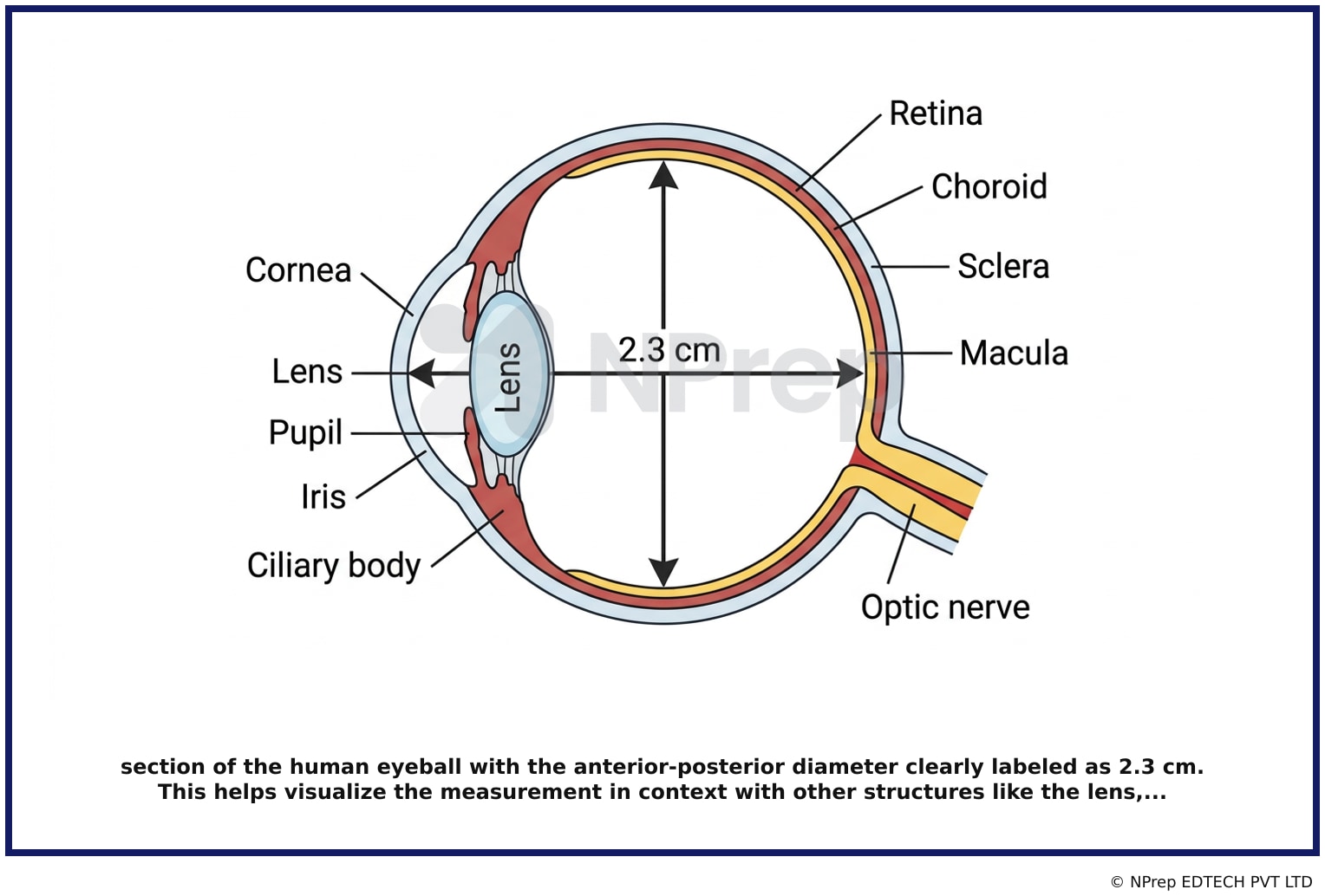 Visual explanation — Related Visual