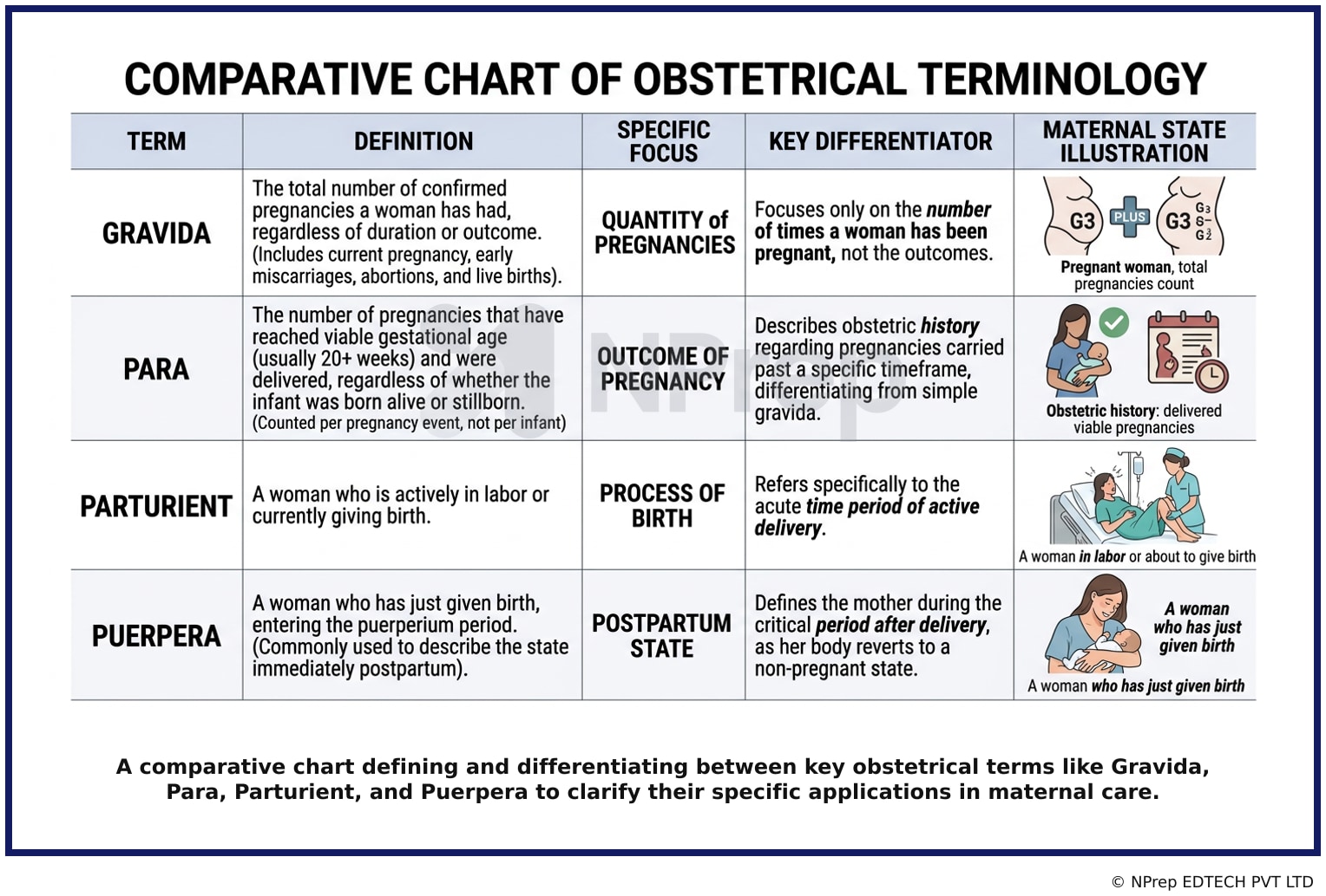 Visual explanation — Related Visual
