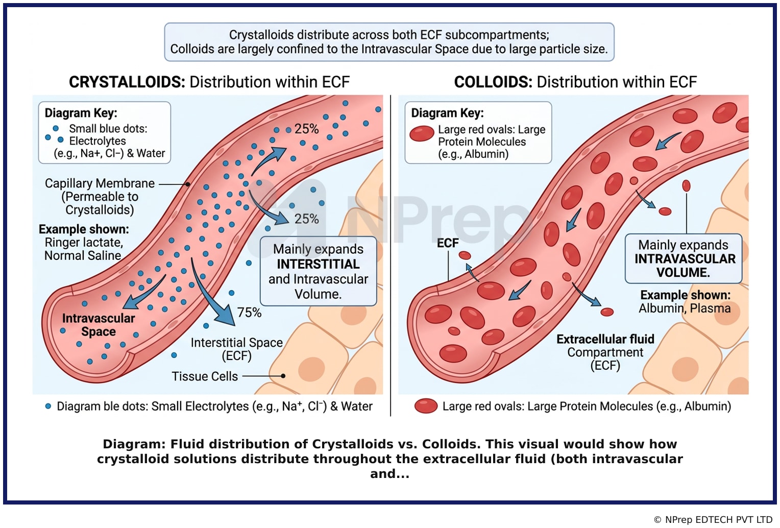 Visual explanation — Related Visual