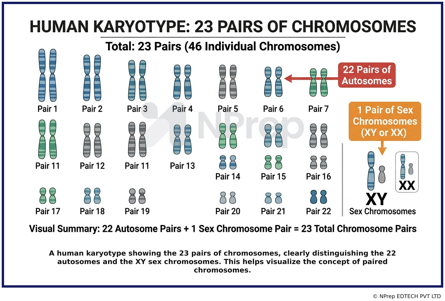 Visual explanation — Related Visual