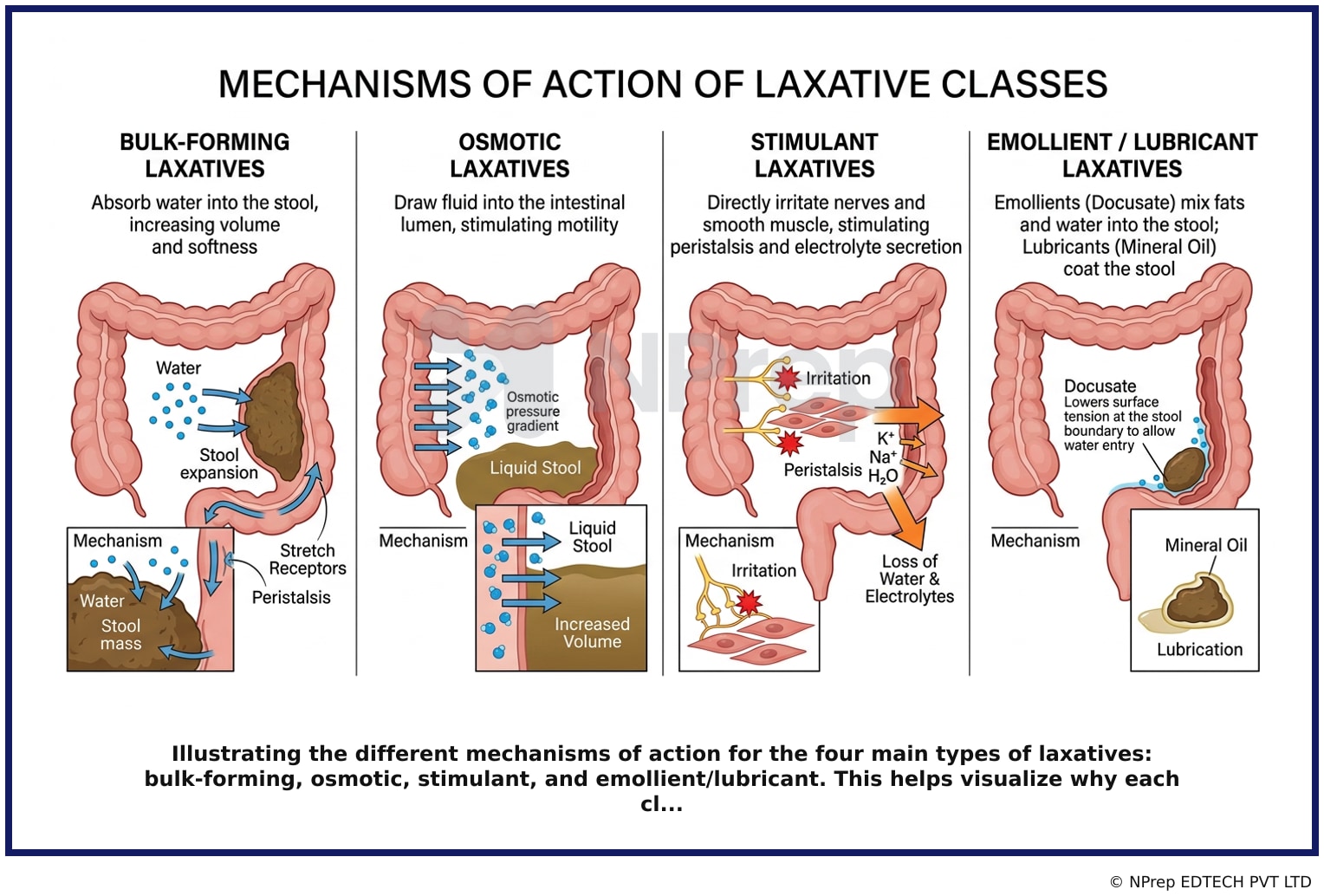 Visual explanation — Related Visual