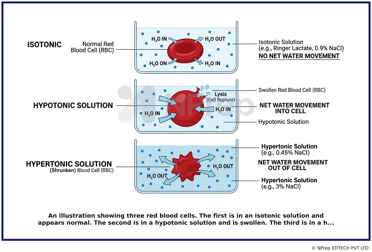 Visual explanation — Related Visual