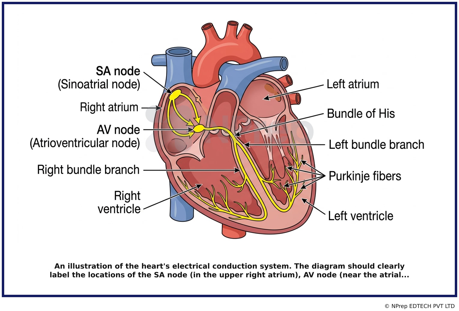 Visual explanation — Related Visual