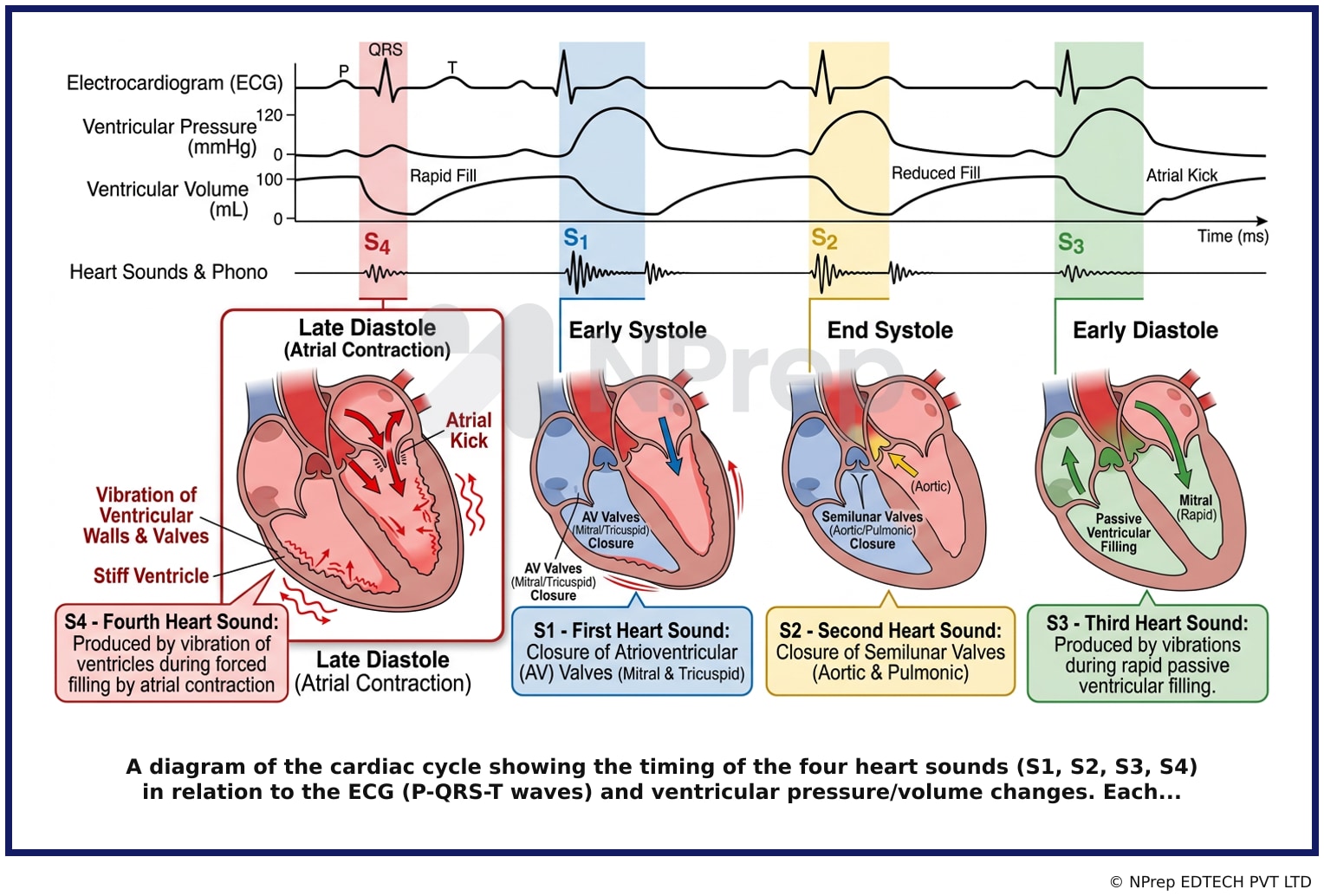 Visual explanation — Related Visual