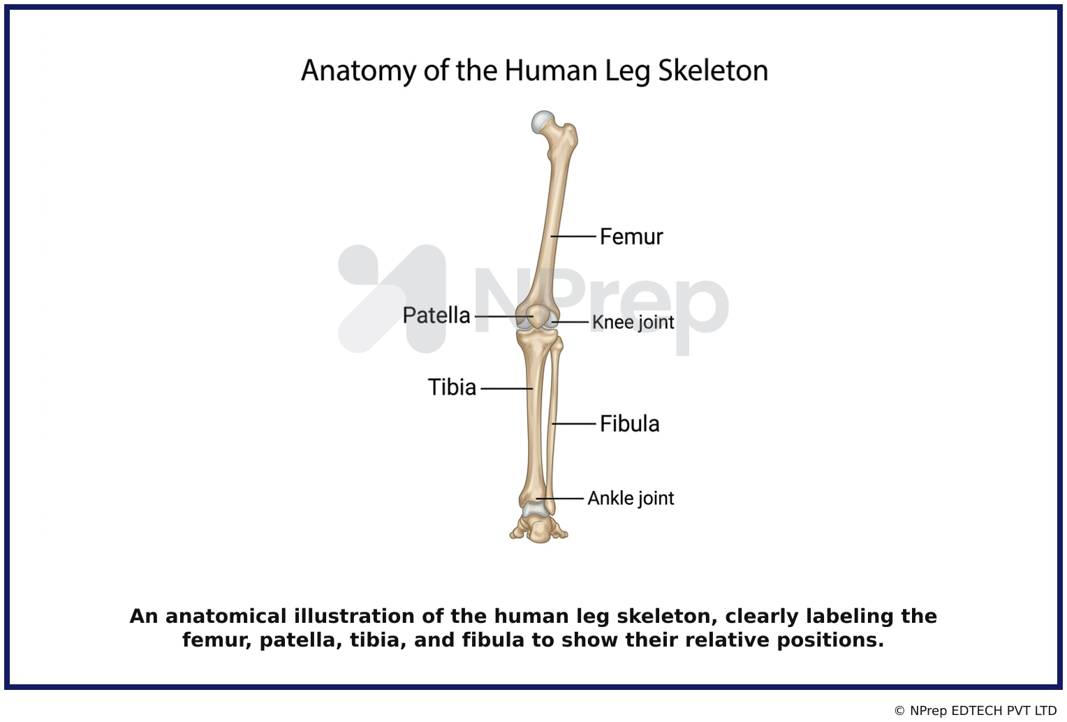 Visual explanation — Related Visual