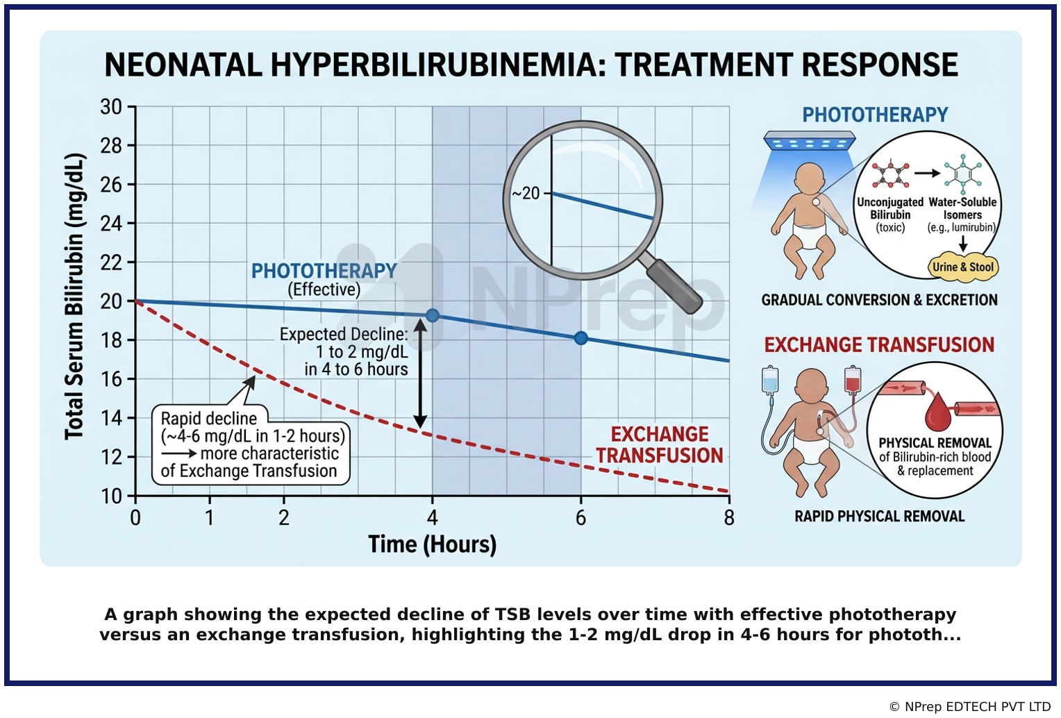 A graph showing the expected decline of TSB levels over time with effective phototherapy versus an exchange transfusion, highlighting the 1-2 mg/dL drop in 4-6 hours for phototh...