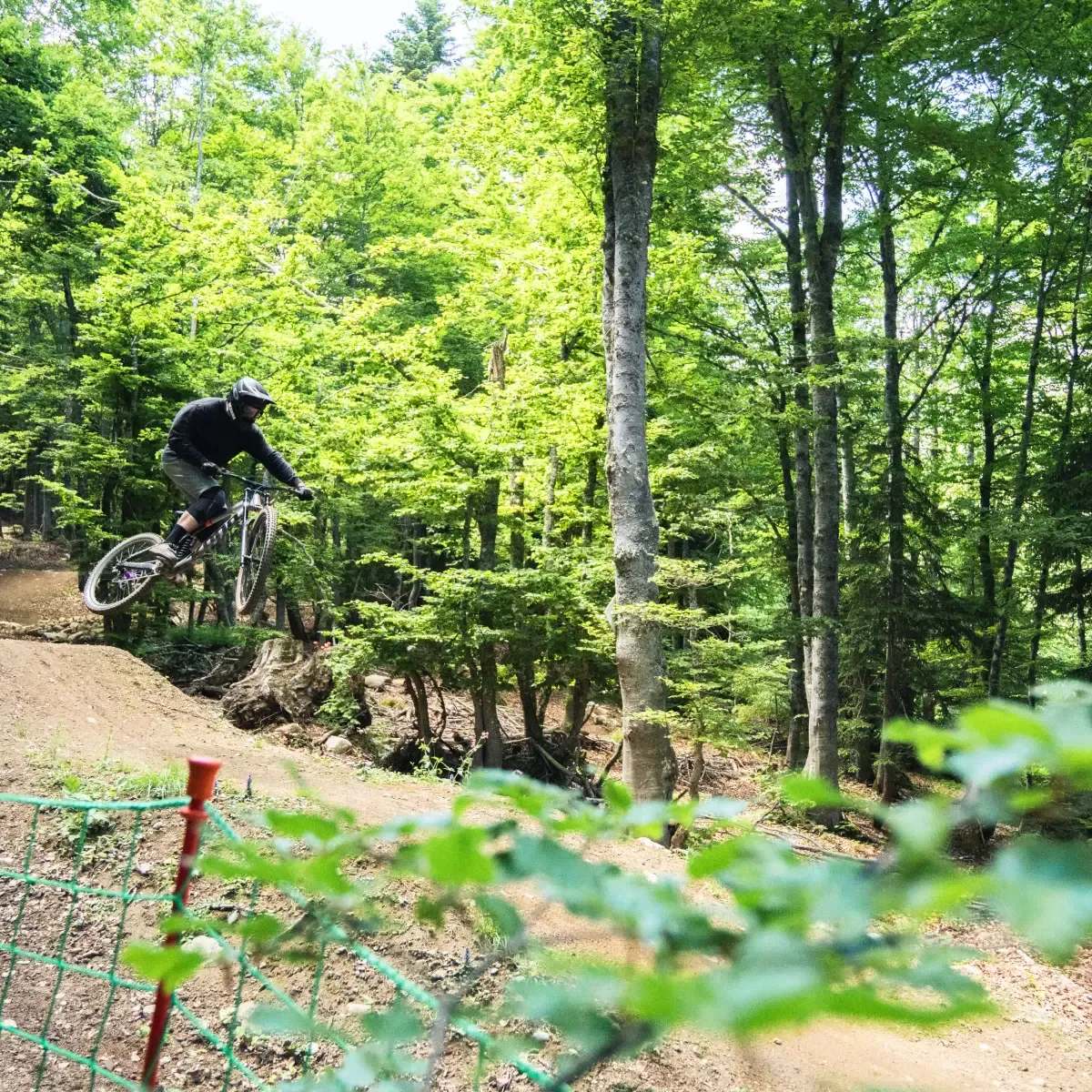 Bike Park Grand Tourmalet Barèges - Sous-bois