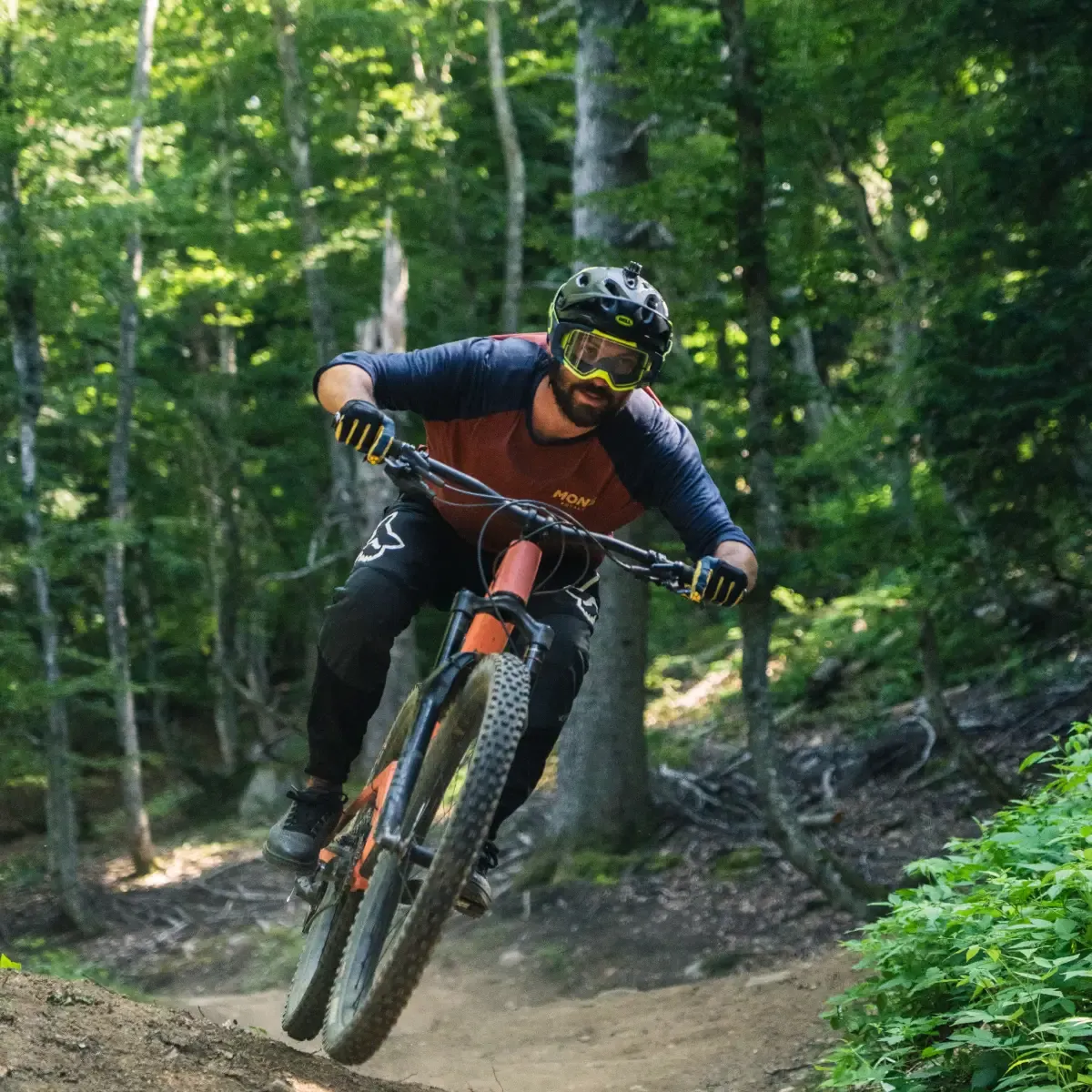 Bike Park Grand Tourmalet Barèges - Descente en sous-bois