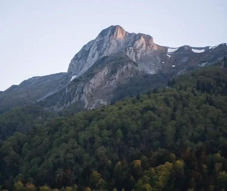 Mountains with forest in summer at Gourette