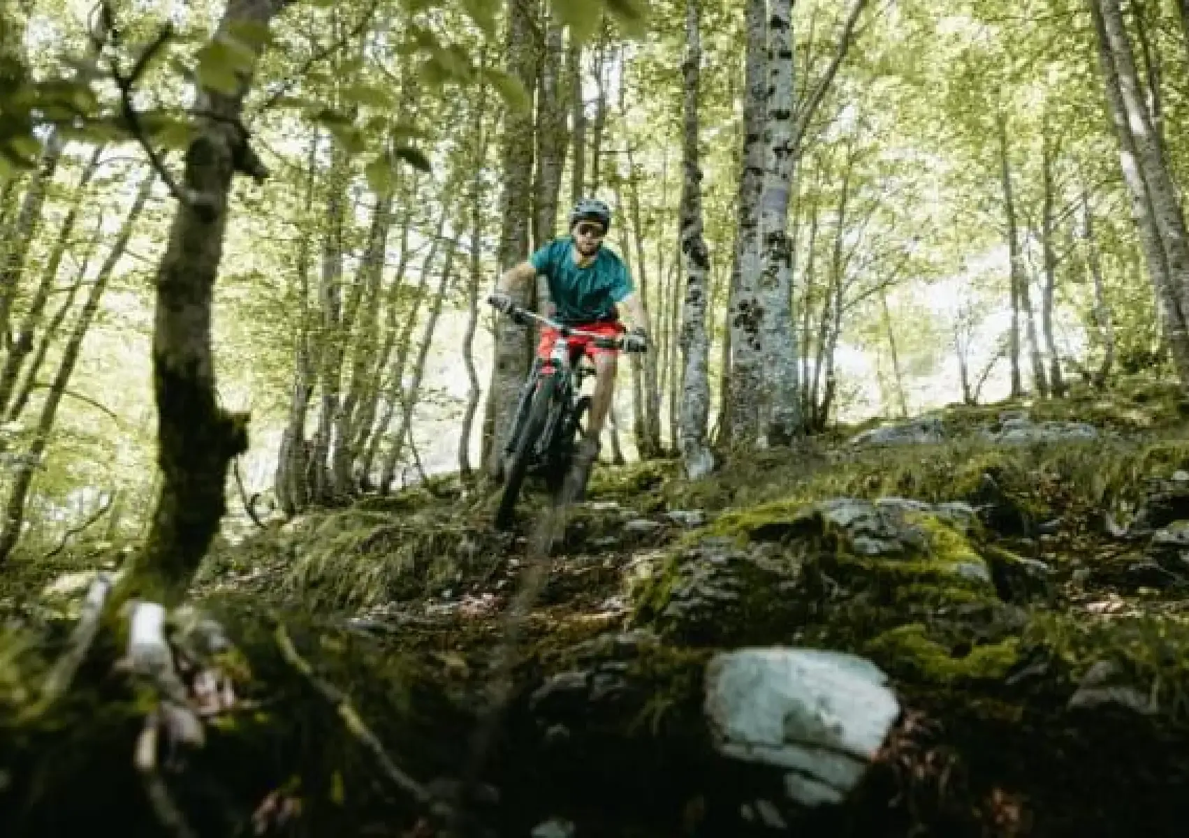 Bike Park Gourette - Descente en sous-bois