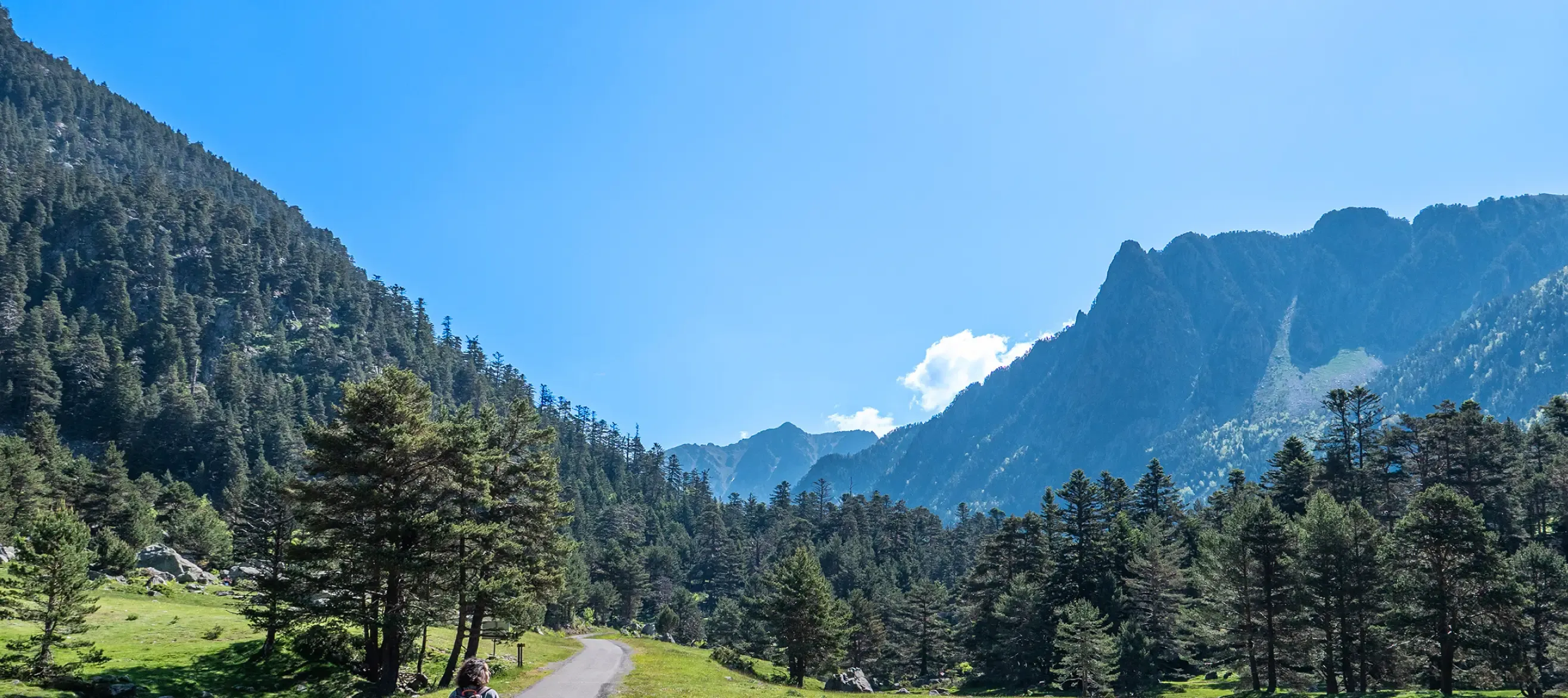 Pyrenees during summer
