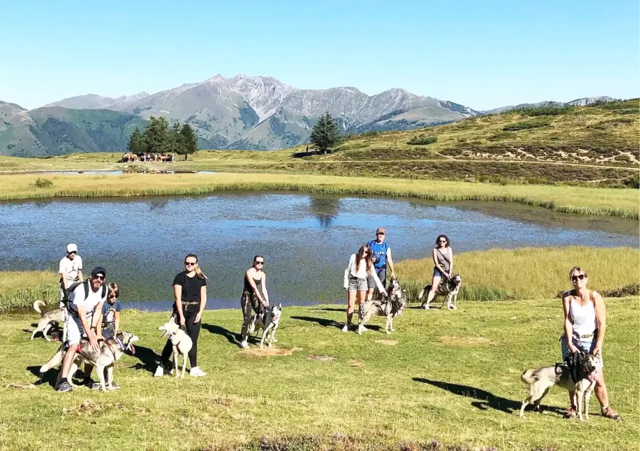 Balade en groupe avec huskies