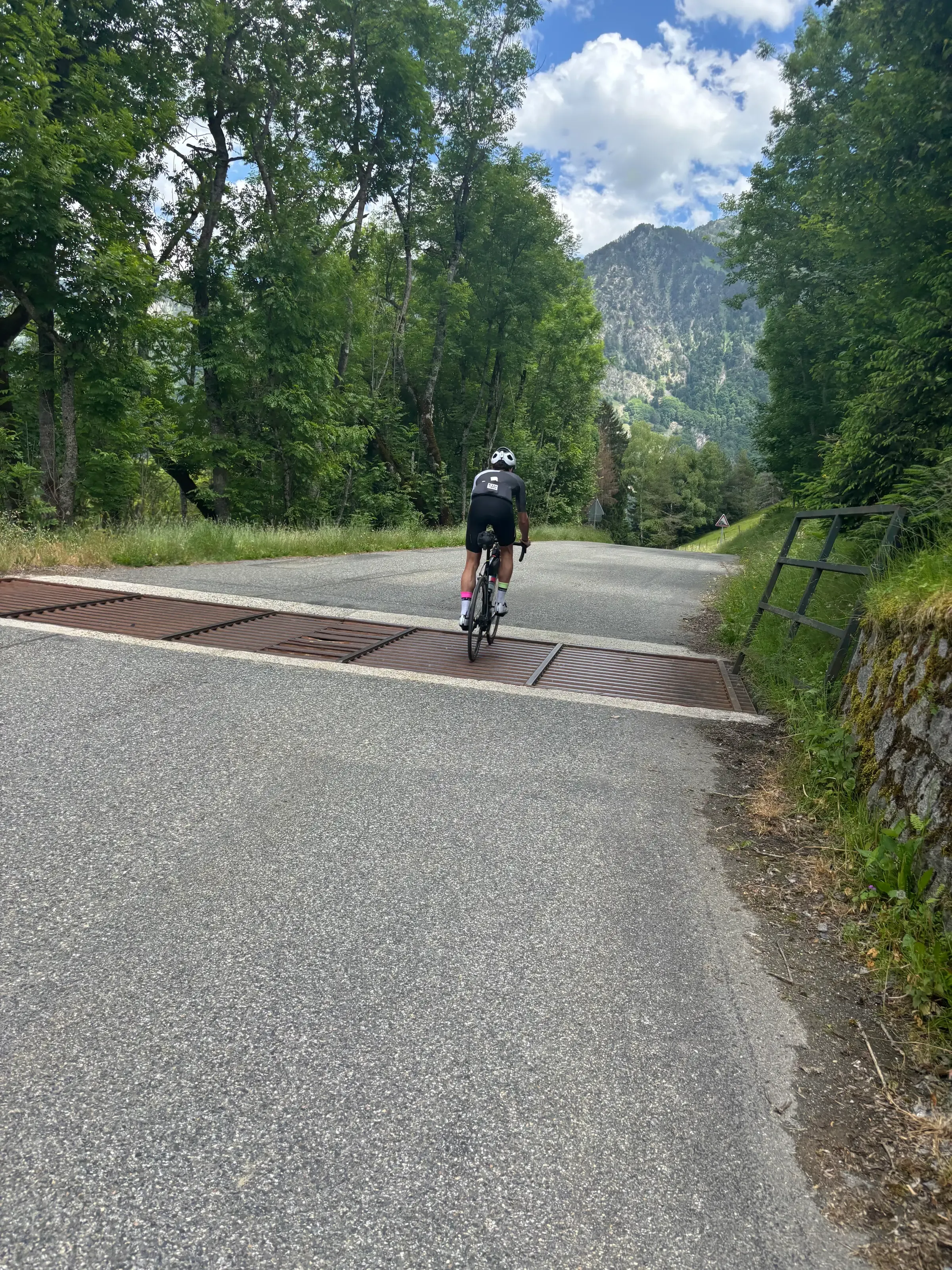 Un cycliste vu de dos franchit un passage canadien sur une route de montagne, entouré d'arbres avec un sommet en arrière-plan.