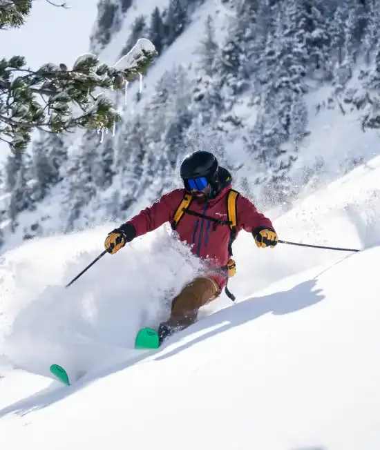 Skieur dans la poudreuse