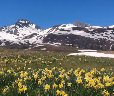 porte entree neouvielle par la mongie