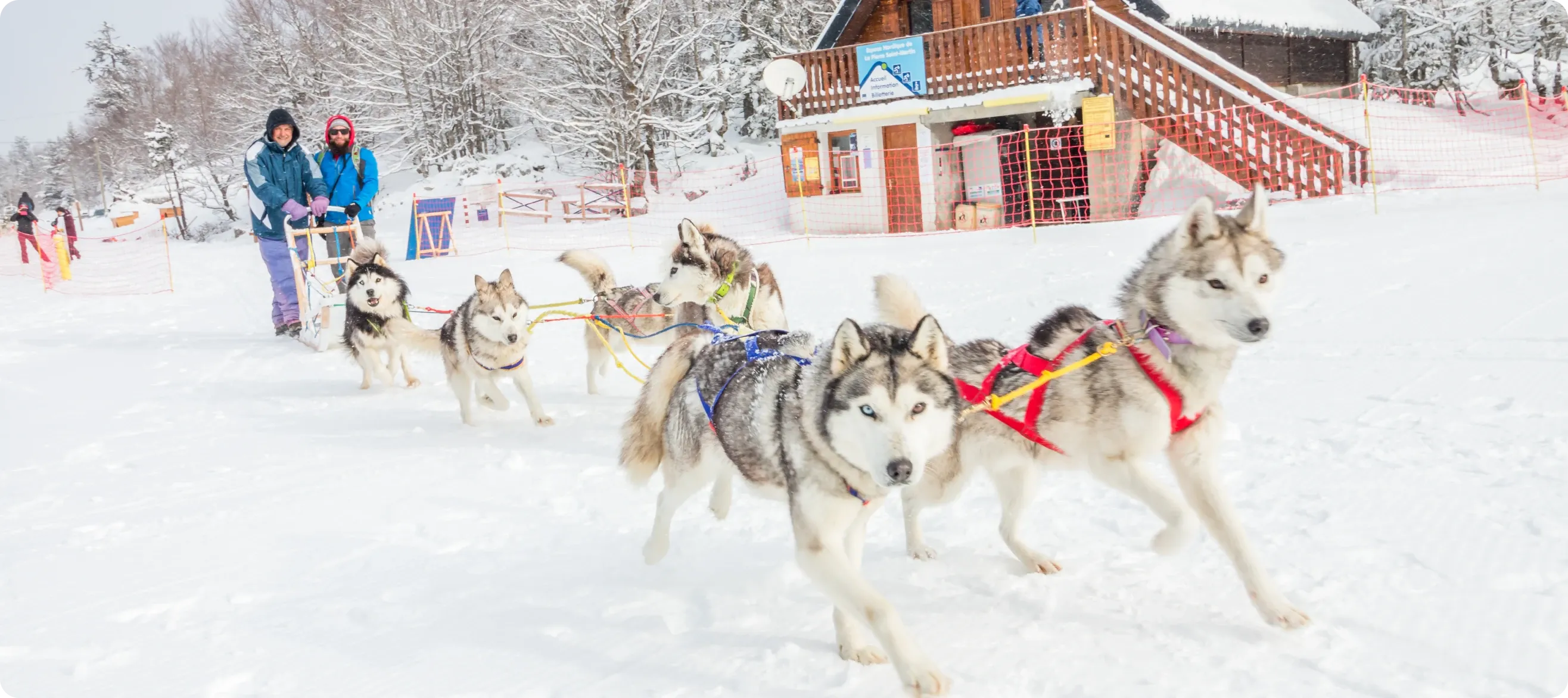 Dog sledding at La Pierre Saint-Martin