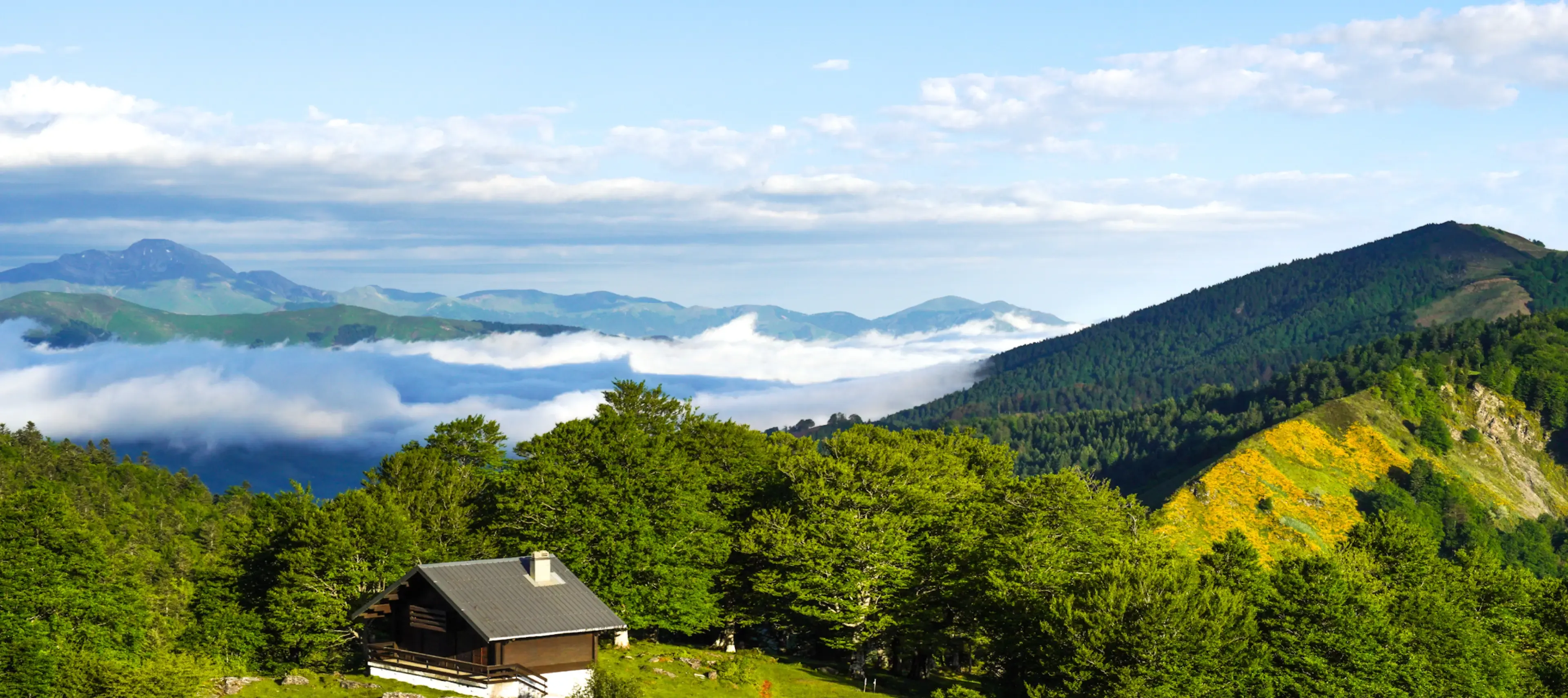 Paysage depuis le bike park
