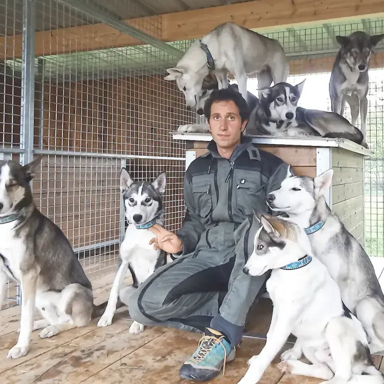 Musher Huskies