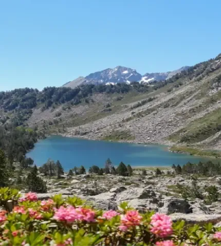 neouvielle au printemps