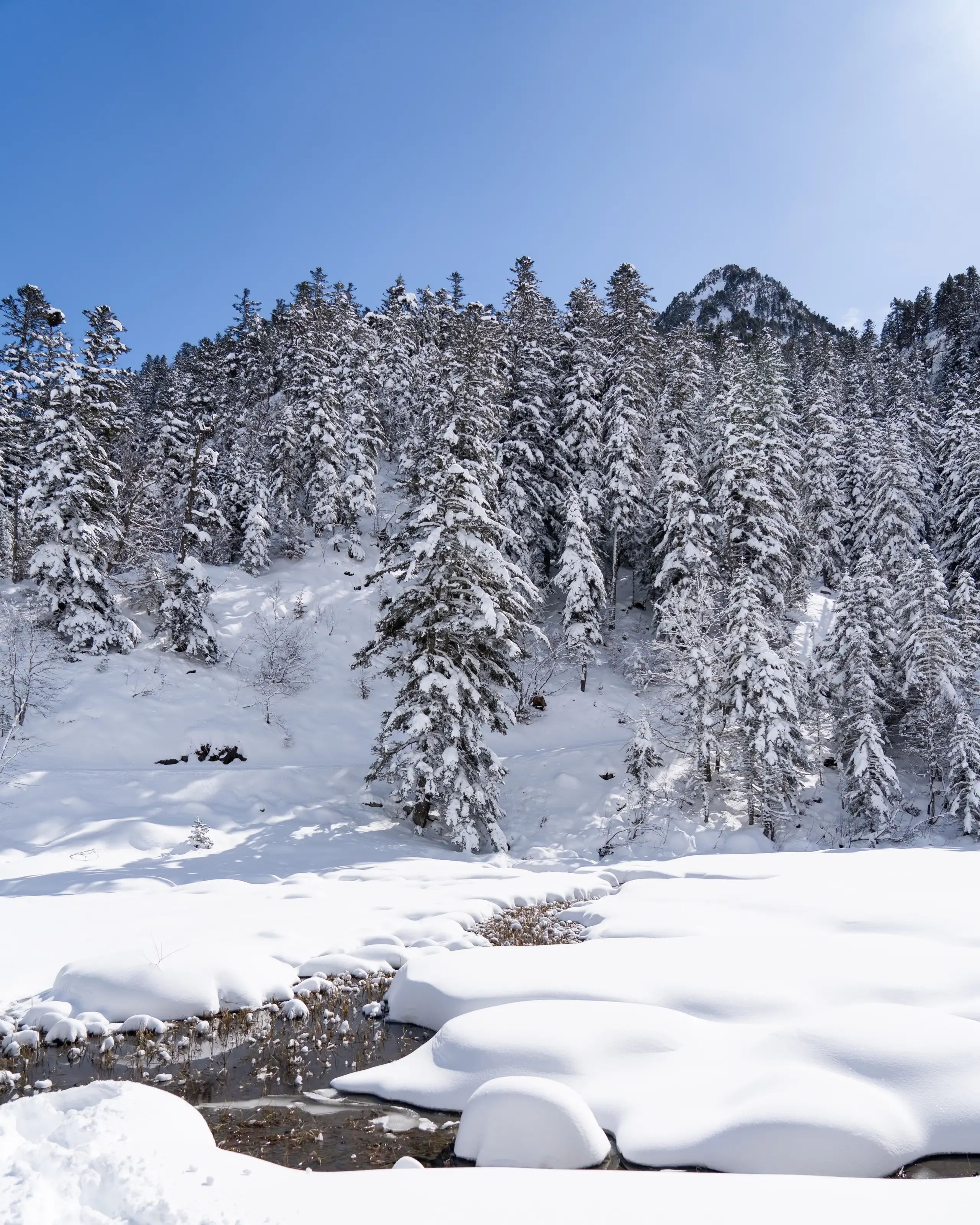 paysage-enneigee-cauterets